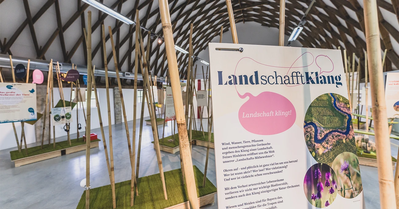 bayerische-landesstiftung-2026-headerbild-1300x680px-umweltpreis